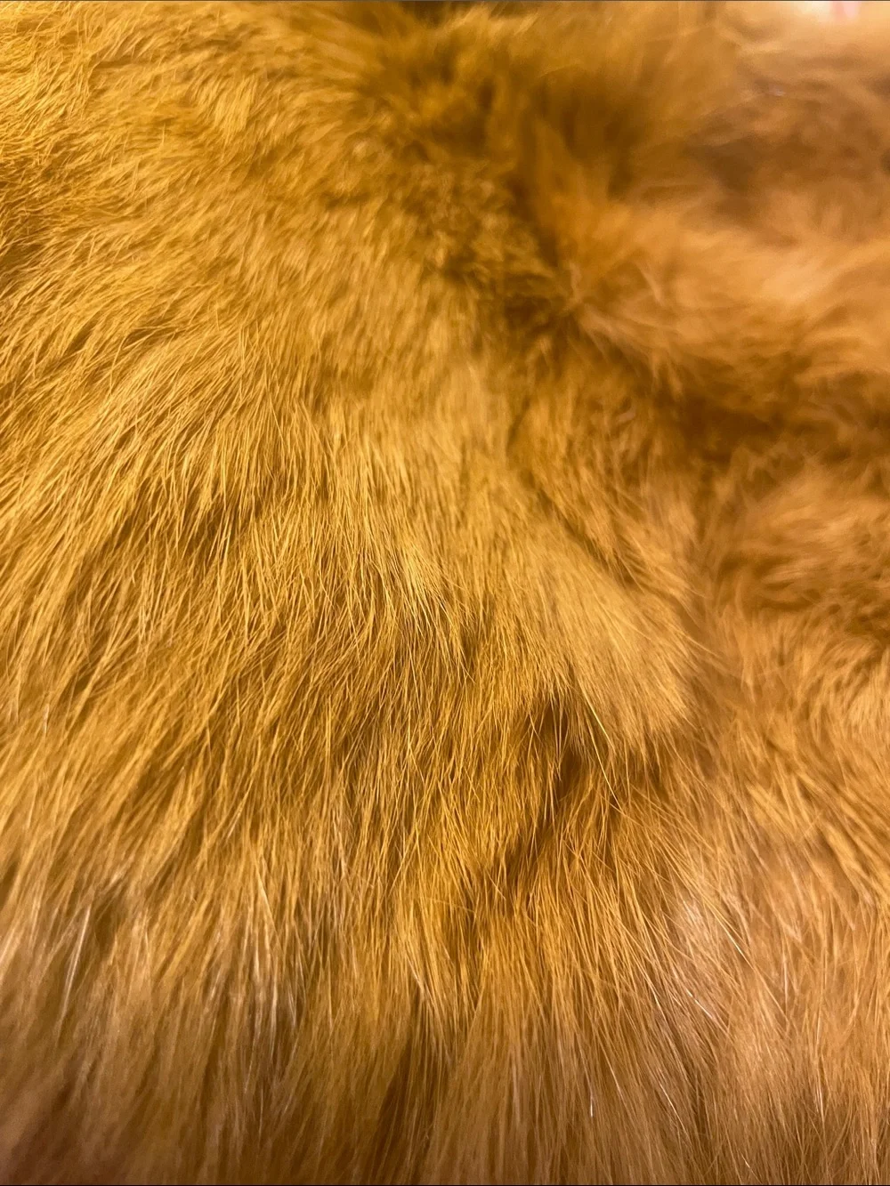 FEFA Suede Side  Fringe Rabbit Fur Hobo Bag in Chestnut Brown